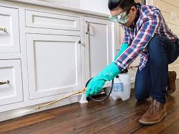 Best Residential Pest Control  in Umatilla, FL